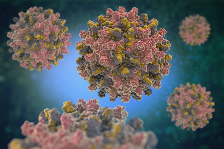 Prueba rápida de IgM HEV: liderar el camino en el diagnóstico de hepatitis E