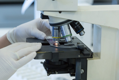 Acelerar el análisis de grasa con el sistema de extracción de Soxhlet automatizado JC-SXT-6A de BABIO AGOSTO AGOSTO 2025 | Sala de redacción de Babio