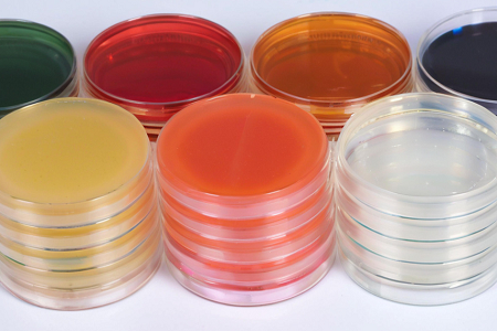 Agar de dextrosa de spouraud de alta calidad (SDA) por Babio
