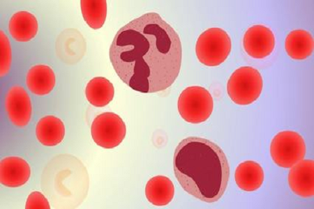 Babio mejora el diagnóstico de infección del torrente sanguíneo con botella de hemocultivo avanzado