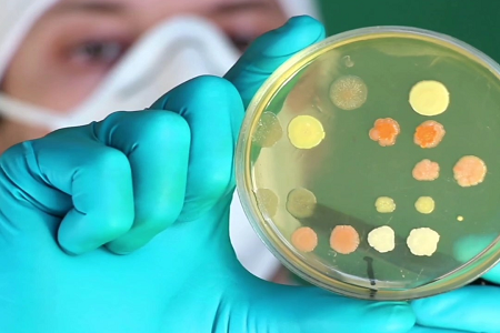 Babio lanza caldo de lactosa verde brillante de alta calidad para pruebas de alimentos y agua