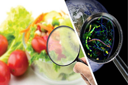 BABIO lanza casete de prueba rápida de aflatoxina B1 para el control global de la seguridad alimentaria