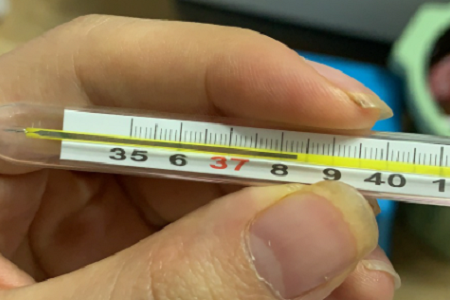Prueba rápida combinada de antígenos: COVID-19, gripe A/B y VRS