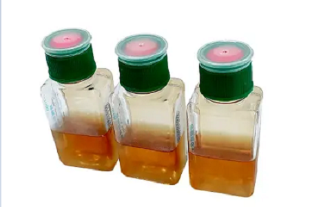 Los frascos de hemocultivo BABIO permiten una detección más rápida y confiable de infecciones del torrente sanguíneo