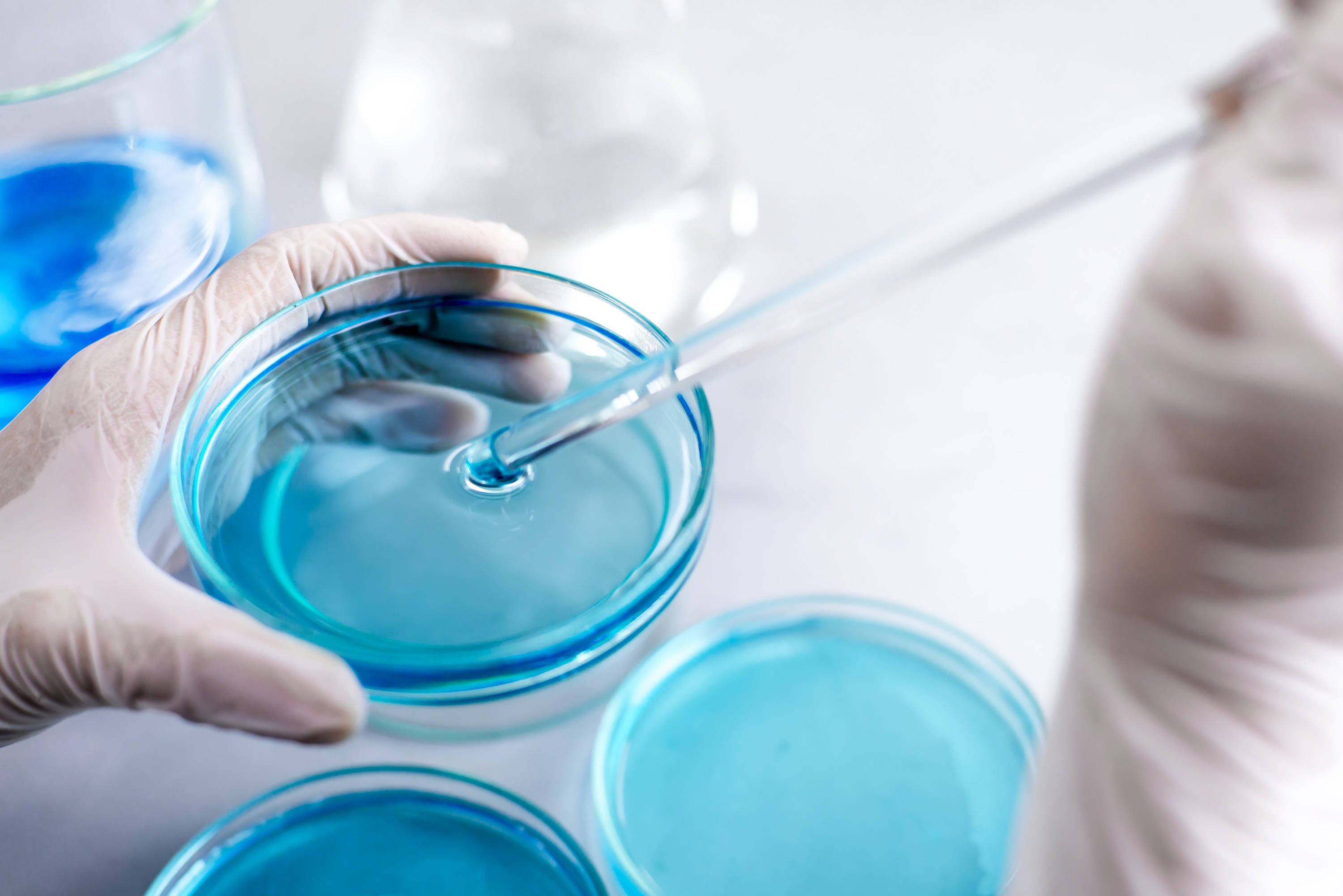 El agua de peptona tamponada BABIO respalda el preenriquecimiento confiable de patógenos alimentarios