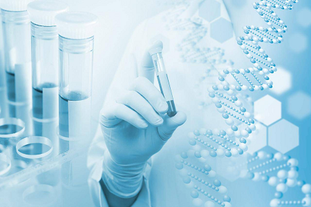 Kit de prueba H. pylori IgG/IgM: solución de detección rápida de anticuerpos