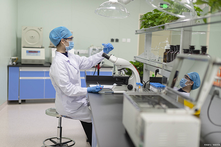 Agua de peptona tamponada: un comienzo confiable para las pruebas de Salmonella